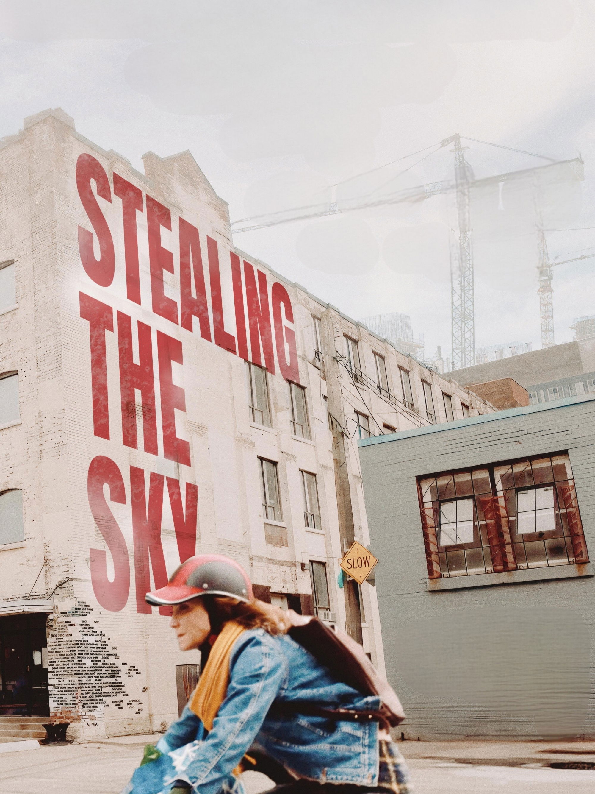 Stealing the Sky Hindi Dubbed Movie Poster (2025)
